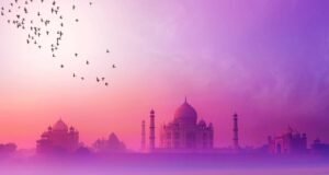 Grand Tour India: Tigers of Central India