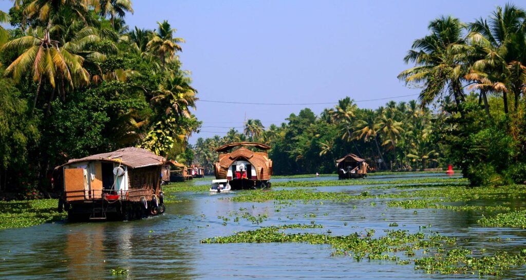 Golden Triangle and Kerala: A Private Delhi to Cochin Tour with 5 Star Hotels (with Domestic Flight)
